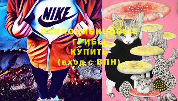 синтетический гашиш Белокуриха