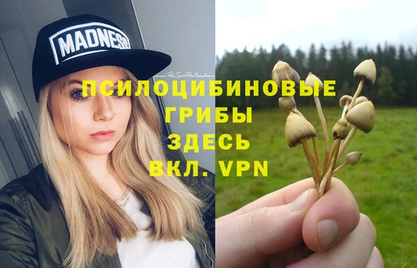 Альфа ПВП Белоозёрский