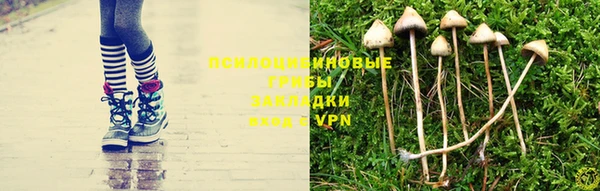 мяу мяу мука Богородск