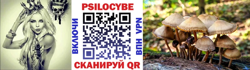 Псилоцибиновые грибы Cubensis  Мариинский Посад 